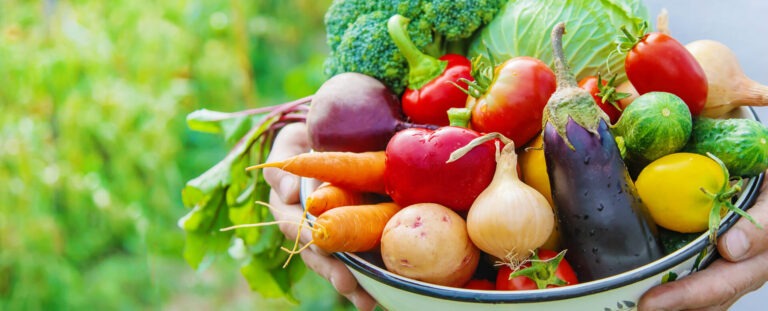 réseau provence dauphiné, fruits et légumes frais, grossiste et distributeur alimentaire,panier de fruits et légumes