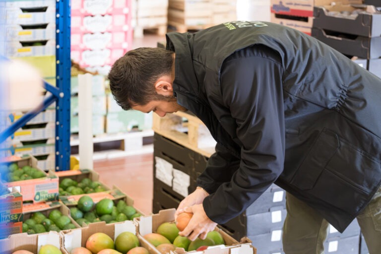 livraison fruits et légumes grenoble