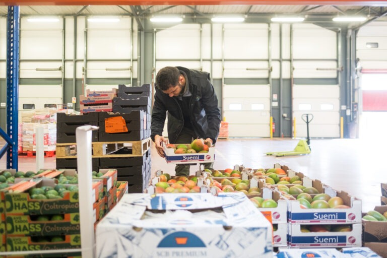 livraison fruits et légumes grenoble