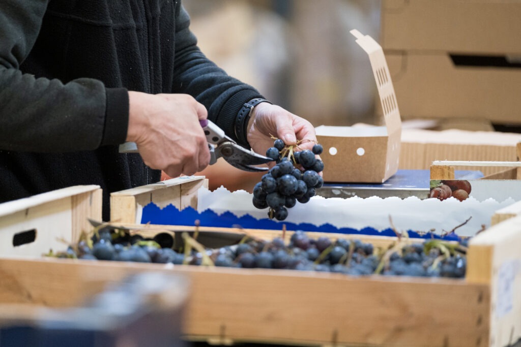livraison fruits et légumes lyon