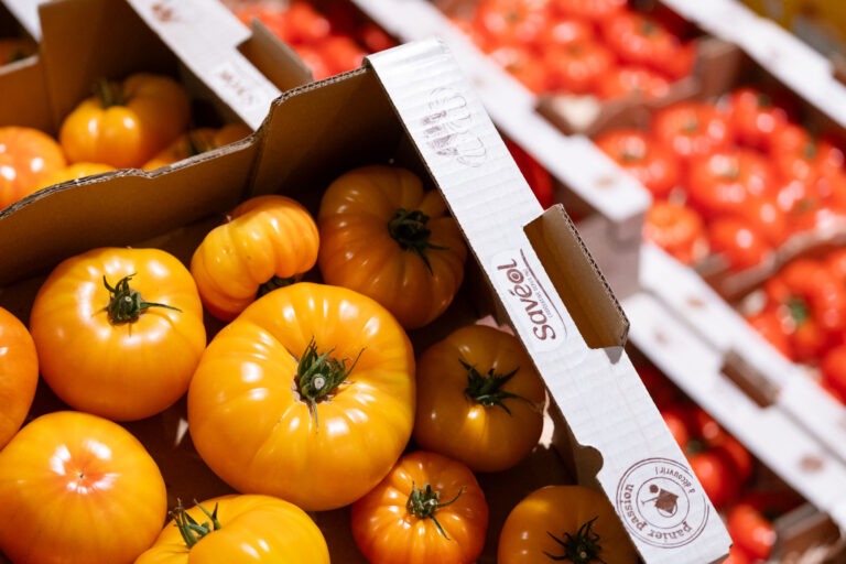 grossistes fruits et légumes Grenoble