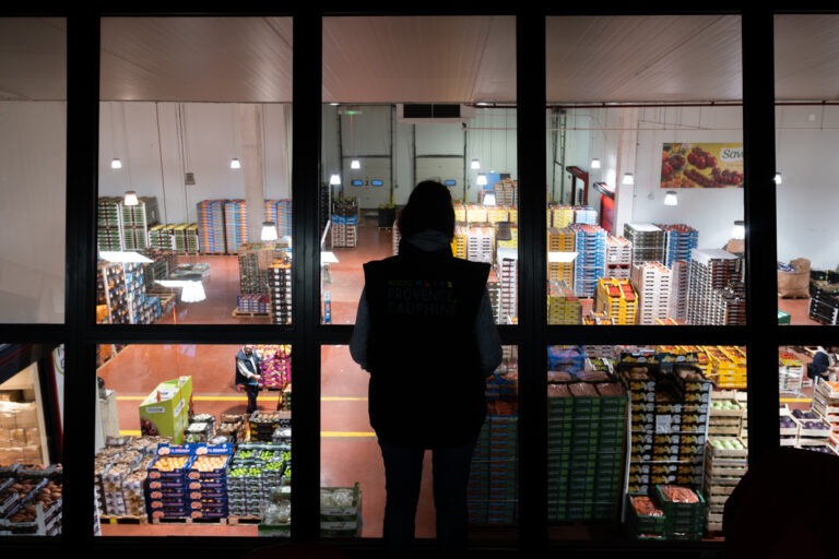 grossistes fruits et légumes Montpellier