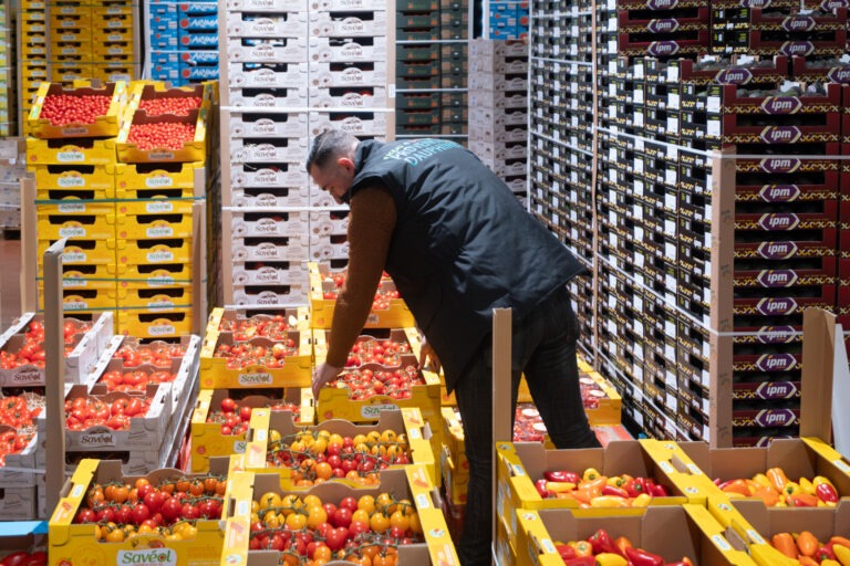 grossistes fruits et légumes Montpellier