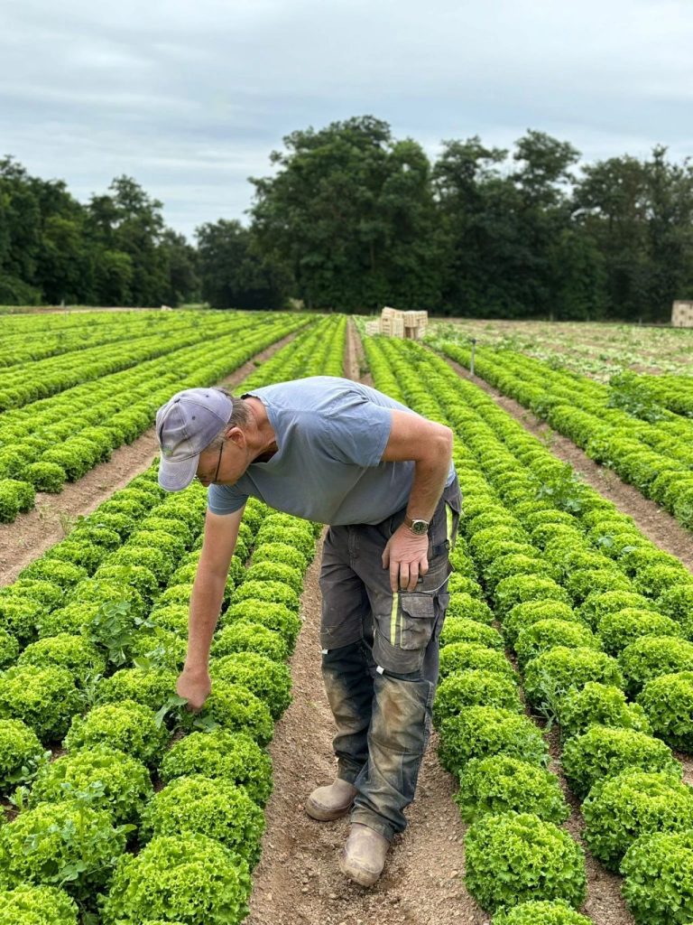 Collaboration avec Sodexo 2