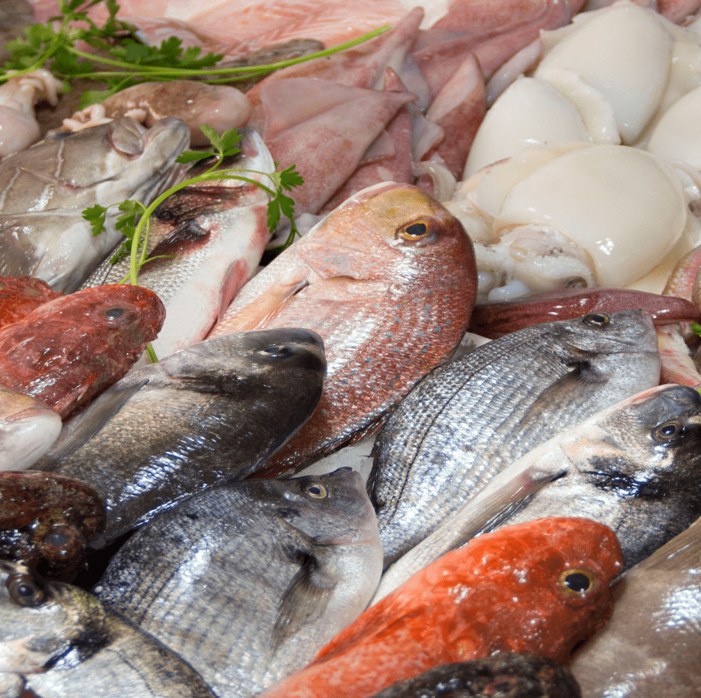 Distributeur de poissons et fruits de mer à Dijon et Besançon - Côte d'Or, Doubs, Jura