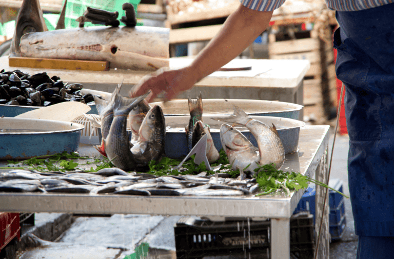 Margain Marée – Distributeur de poissons et fruits de mer à Lyon