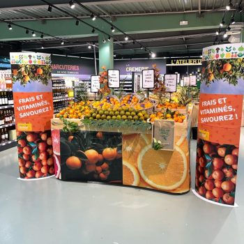 réseau provence dauphiné, grossiste alimentaire et distributeur depuis 60 ans, oranges